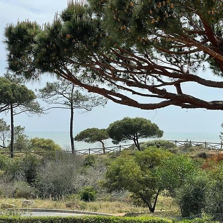 Praia da Falésia Alfa Mar Albufeira Olhos de Agua  Esterno foto