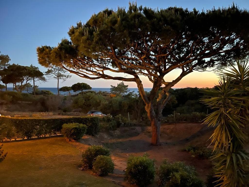 Praia da Falésia Alfa Mar Albufeira Olhos de Agua  Esterno foto