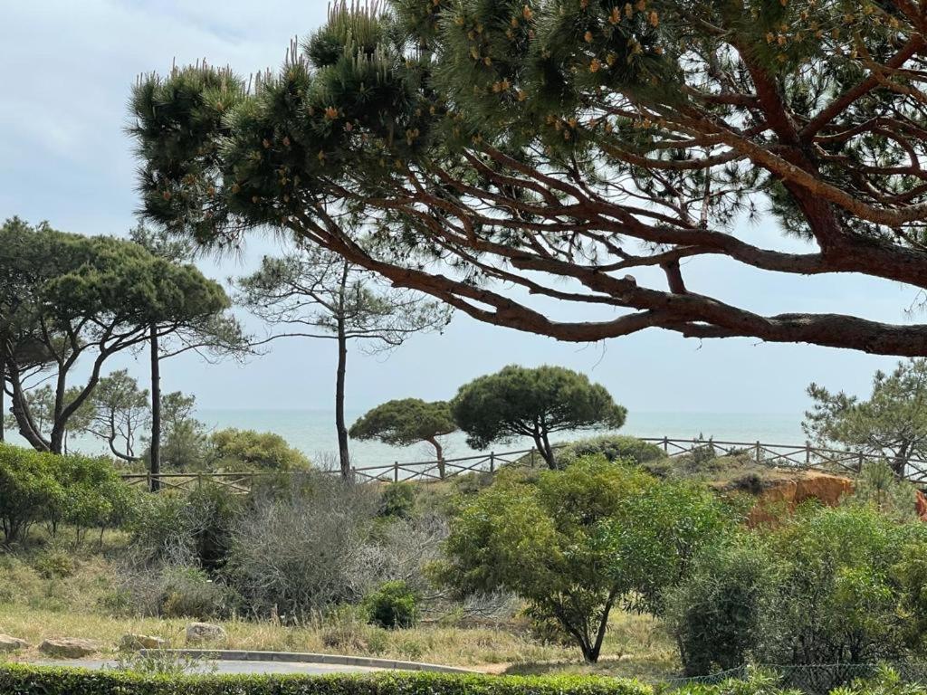Praia da Falésia Alfa Mar Albufeira Olhos de Agua  Esterno foto